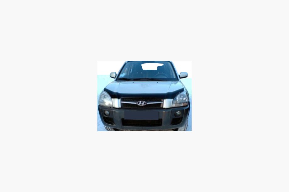 Hyundai Tucson JM 2004- рр. Дефлектор капоту (SIM) Image
