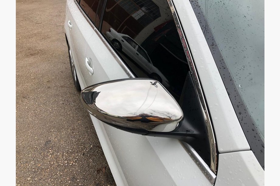 Накладки на дзеркала (2 шт., нерж) Image