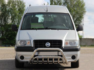Citroen Jumpy 1996-2007 рр. Кенгурятник WT002 (нерж) фото 1