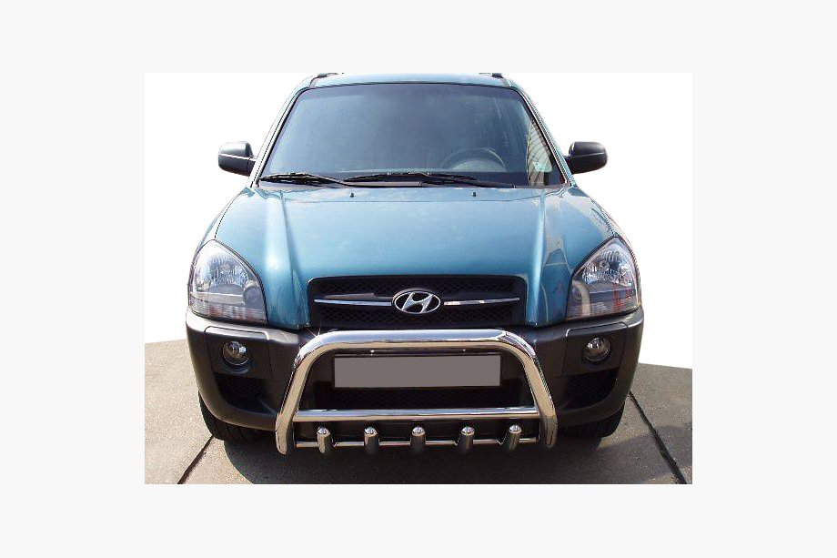 Hyundai Tucson JM 2004- рр. Кенгурятник WT003 (нерж.) Image