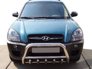 Hyundai Tucson JM 2004- рр. Кенгурятник WT003 (нерж.) фото 1