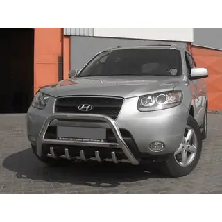 Кенгурятник WT003 (нерж.) Hyundai Santa Fe 2 2006-2012 рр. фото 3