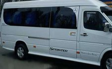 Mercedes Sprinter W901/902/903/904/905 1995-2006 рр. Бокові пороги (скловолокно, під фарбування) фото 1