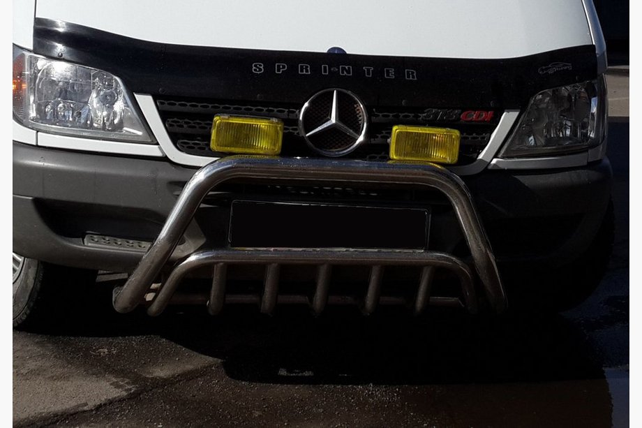 Mercedes Sprinter W901/902/903/904/905 1995-2006 рр. Кенгурятник WT002 (нерж.) Image