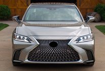 Lexus ES 2012-2018 рр. Передня решітка 2015-2018 (F-Sport) фото 2