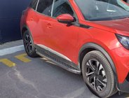Peugeot 2008 2019- рр. Молдинг дверний (4 шт, нерж) фото 1