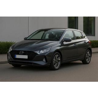 Повна окантовка вікон (14 шт., Нерж) фото 3