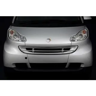 Передняя защита решетка Smart 2007-2014 рр. фото 1