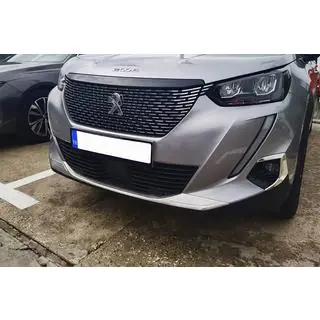 Накладка на передній бампер (2 шт, нерж)