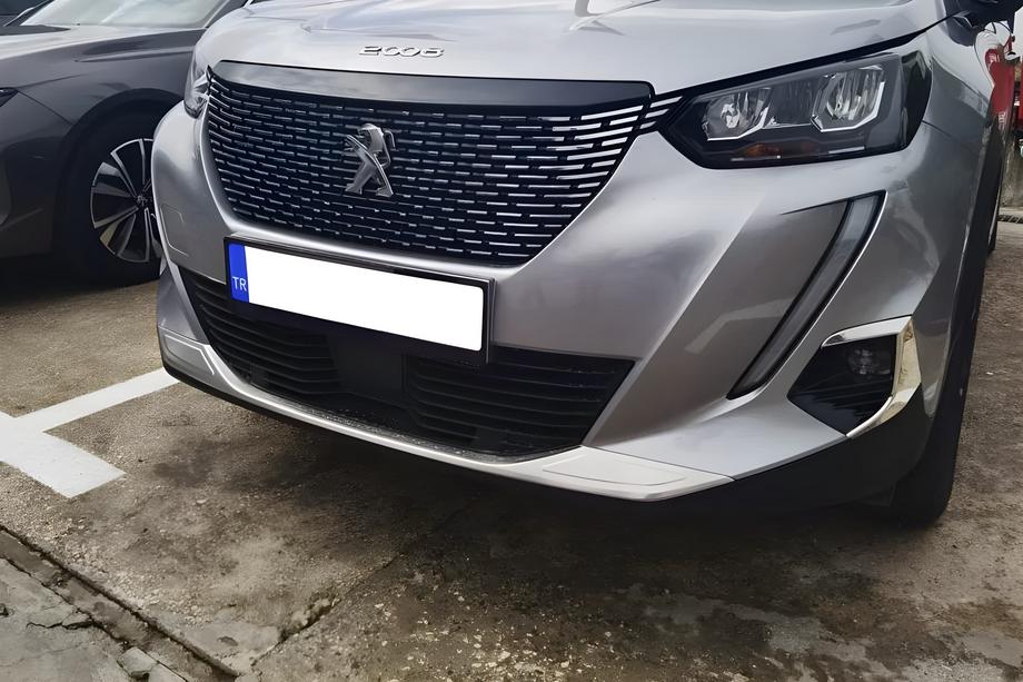 Peugeot 2008 2019- рр. Накладка на протитуманки (2 шт, нерж) Фото 1