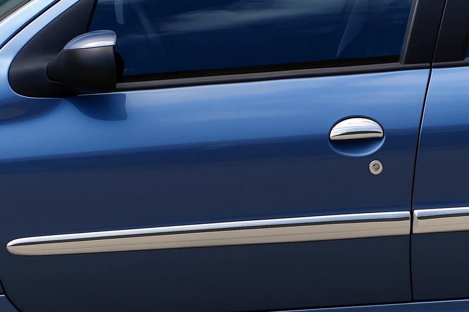 Peugeot 206 1998-2024 рр. Молдинг дверний (4 шт, нерж) Image