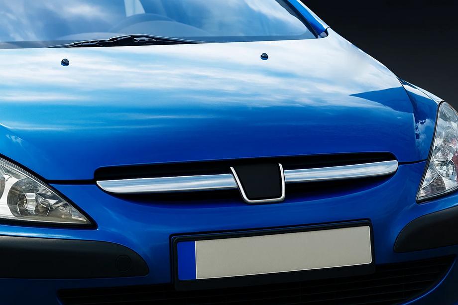 Peugeot 307 2001-2008 рр. Накладки на решітку (2001-2005, 2 шт, нерж) Image