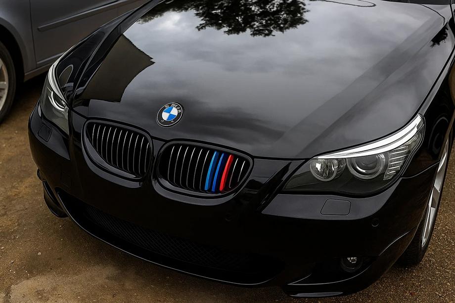 Ніздрі (3 шт) Image