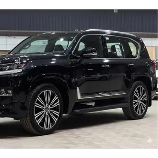 Молдинги чорні F-Sport білі+чорне (4 шт, ABS) Lexus LX 500d/600 2022- рр. фото 4