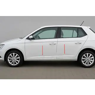 Молдини на двері (4 шт, нерж) Skoda Fabia 2014-2021 рр. фото 1