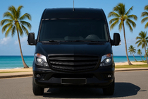 Mercedes Sprinter W906 2006-2018 рр. Решітка Exclusive 2013-2018 рр. (під фарбування) фото 4