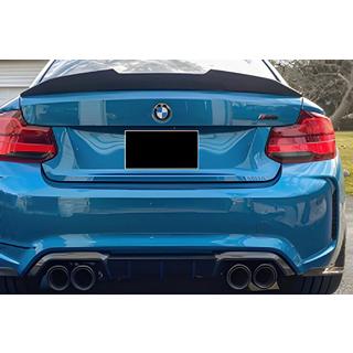 Спойлер PSM-Style (для F22, чорний глянець) фото 1