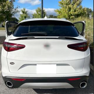 Нижній спойлер V2 (2017-2023, Сухий карбон) Alfa Romeo Stelvio 2016- рр. фото 2