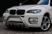 BMW X6 E71 2008-2014 рр. Кенгурятник WT003 (нерж.) фото 1