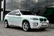 BMW X6 E71 2008-2014 рр. Кенгурятник WT003 (нерж.) фото 2