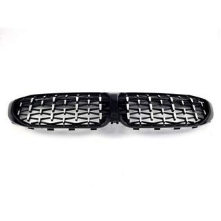 Ніздрі Diamond Silver (2018-2022, чорна окантовка) фото 4