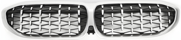 BMW 3 серія G20/G21 2018- рр. Ніздрі Diamond Silver (2018-2022, матовий хром окантовка) фото 2