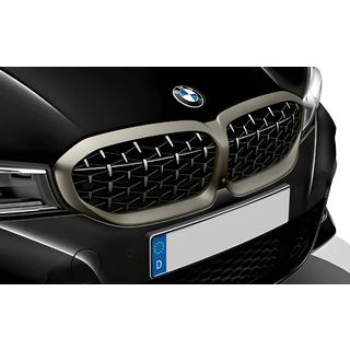 Ніздрі Diamond Silver (2018-2022, матовий хром окантовка) фото 1