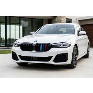 Ніздрі M-Look V1 (2021+, M-Color) BMW 5 серія G30/G31 2017-2023 рр. фото 1