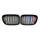 BMW X1 E84 2009-2015 рр. Ніздрі M-Look (M-Color) фото 2