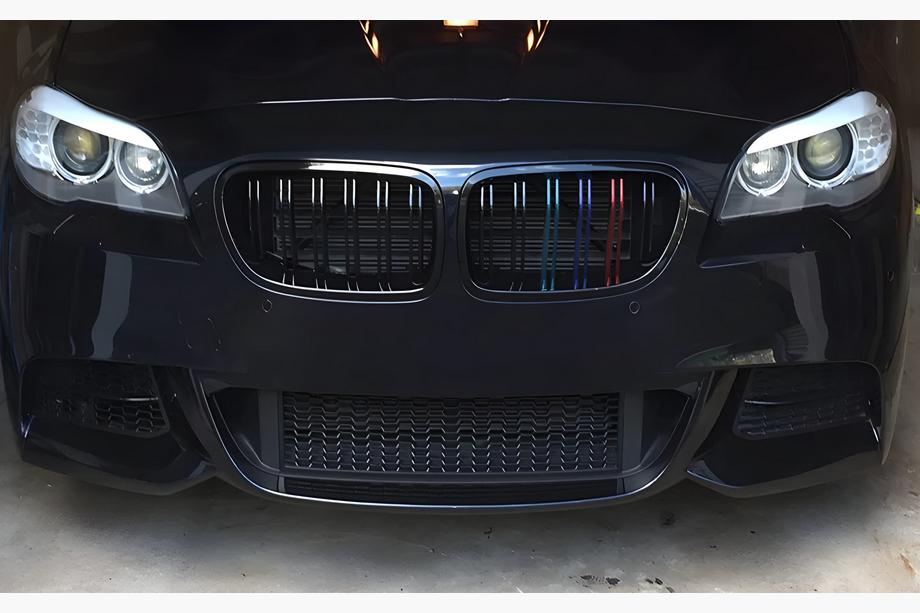 BMW X1 E84 2009-2015 рр. Ніздрі M-Look (M-Color) Image