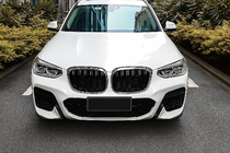 BMW X3 G01 2018- рр. Ніздрі M-Look (2018-2021, чорний глянець з хром окантовкою) фото 1