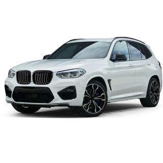 Ніздрі 1 Bar (2018-2021, чорний глянцевий) BMW X3 G01 2018- рр. фото 1