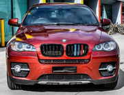 BMW X5 E70 2007-2013 рр. Ніздрі M-Look (M-Color) фото 3