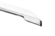 Ford Custom 2013-2022 рр. Хром планка над номером (без камери, нерж.) фото 4