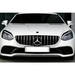 Передня решітка GT Panamericana фото 4