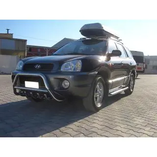 Кенгурятник WT003 (нерж.) Hyundai Santa Fe 1 2000-2006 рр. фото 1