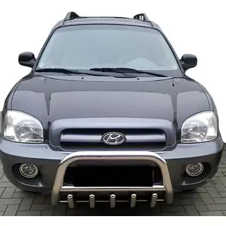 Кенгурятник WT003 (нерж.) Hyundai Santa Fe 1 2000-2006 рр. фото 2