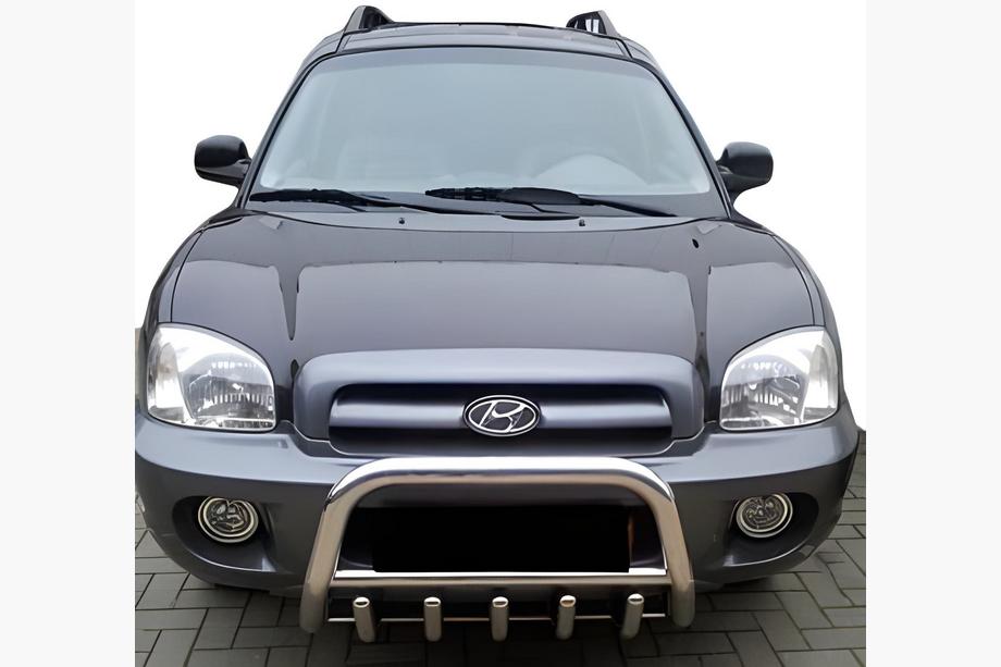 Hyundai Santa Fe 1 2000-2006 рр. Кенгурятник WT003 (нерж.) Фото 2