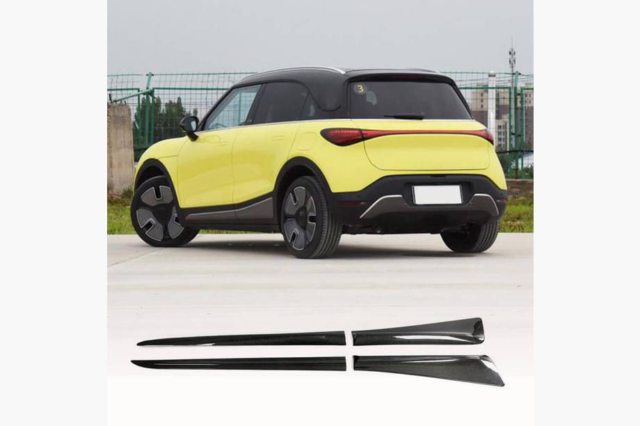 Smart 1 2022- рр. Бокові пороги (Карбон) Image