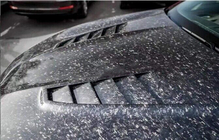 BMW 5 серія G30/G31 2017-2023 рр. Капот (F90-style, Кований карбон) фото 3