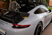 Porsche 911 (991) 2011-2019 рр. Спойлер V4 (Карбон) фото 2