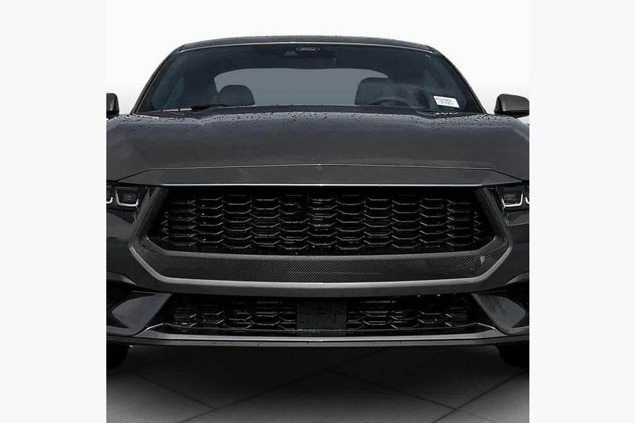 Ford Mustang 2024- рр. Решітка радіатора (для S650, Карбон) Фото 2