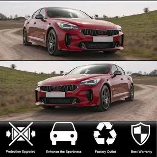 Решітка бампера (Карбон) Kia Stinger 2017-2023 рр. фото 2