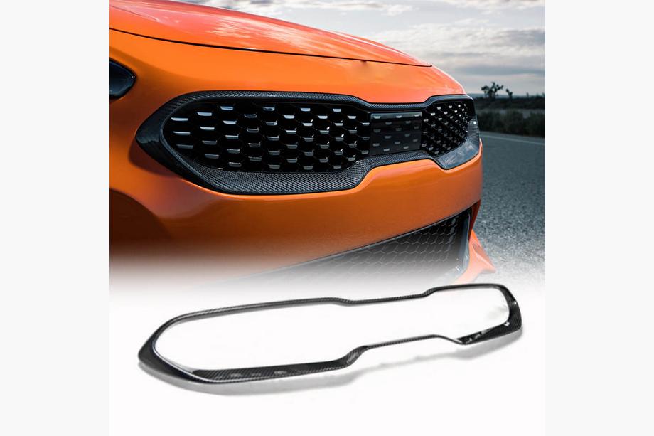 Kia Stinger 2017-2023 рр. Обведення решітки радіатора (Карбон) Image