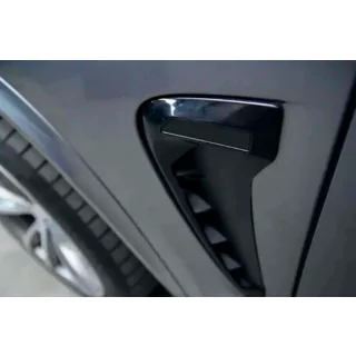 Зябра в стилі Black X5M F85