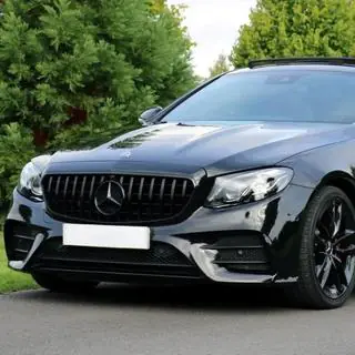 Передня решітка GT Panamericana Black (для Avantgarde/AMG-Line/E43 AMG/E53 AMG 2016-2020) фото 1