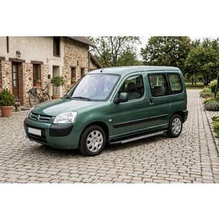 Бокові пороги Duru (2 шт., алюміній) Citroen Berlingo 1996-2008 рр. фото 1