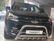 Chery Tiggo 7 2016-2019 рр. Кенгурятник WT003 (нерж) фото 2