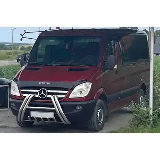 Кенгурятник F1-01M (2006-2013, нерж.)
