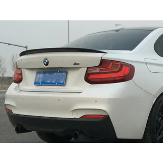Спойлер P-Style (для F22, чорний глянець) фото 1